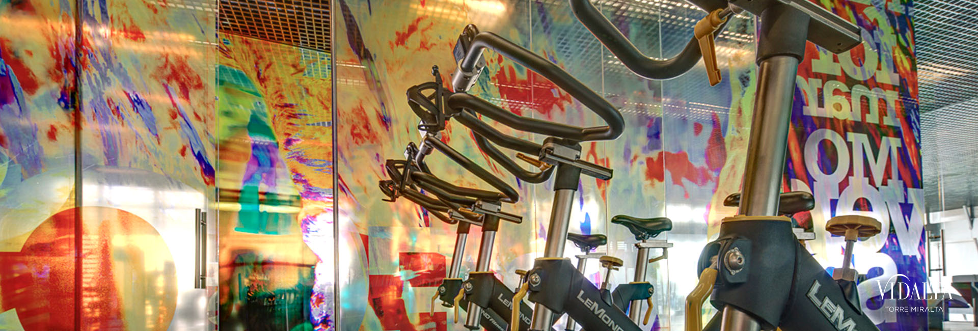 Gimnasio de Vidalta