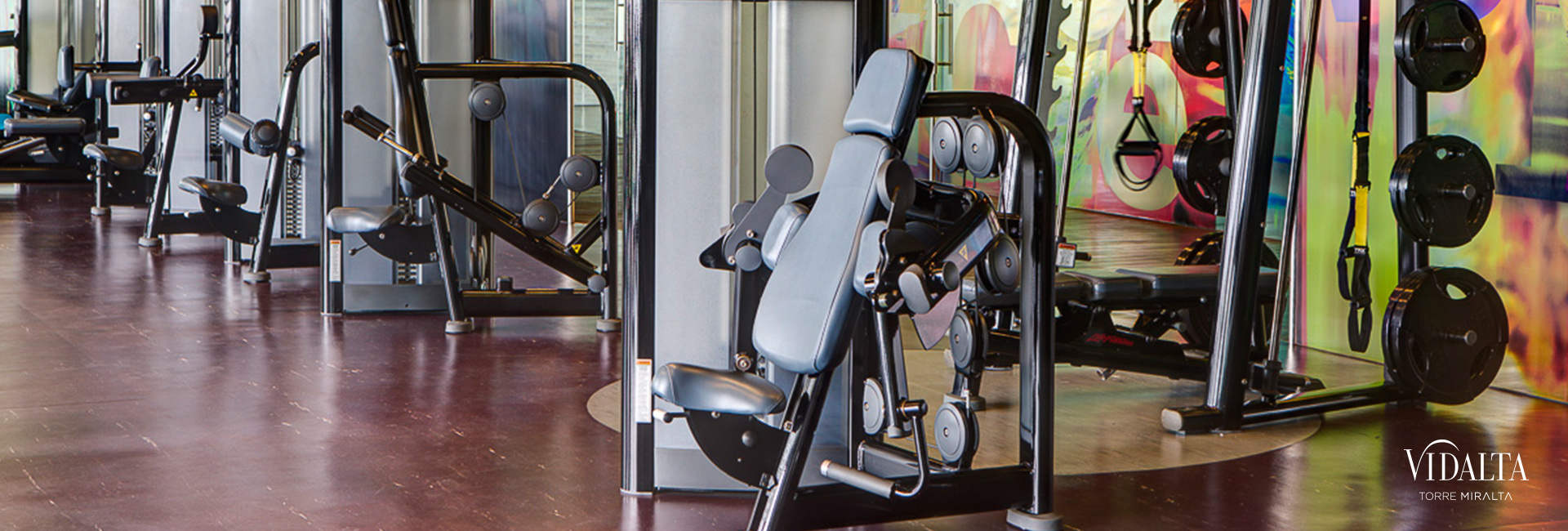 Gimnasio de Vidalta