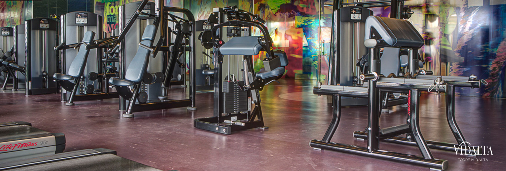 Gimnasio de Vidalta