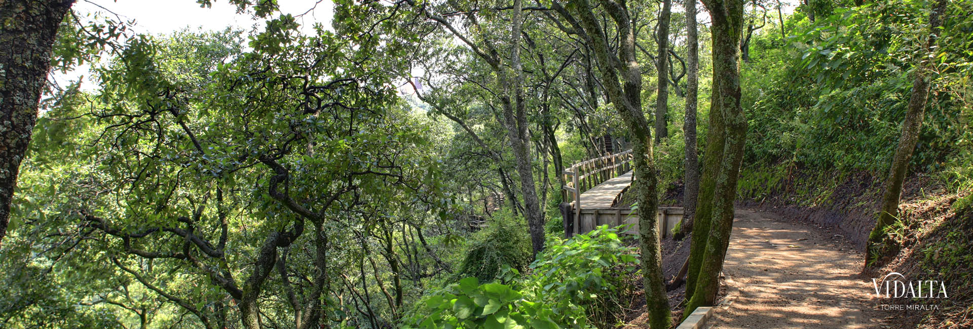 Reserva natural de Vidalta