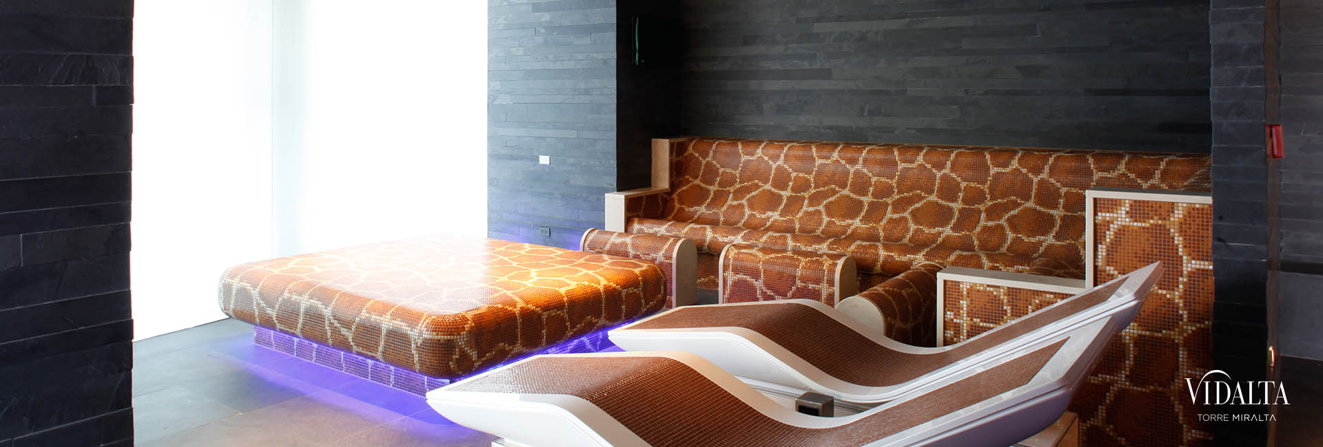 Therma Spa de Vidalta