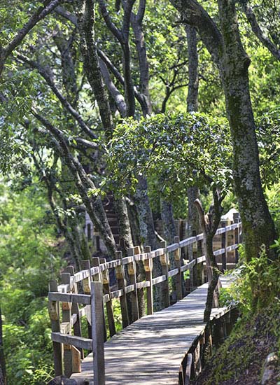 Reserva natural